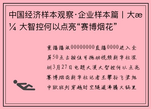 中国经济样本观察·企业样本篇丨大漠大智控何以点亮“赛博烟花”
